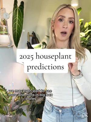 2025 houseplant predictions! 💚 what do you think will be popular this coming year?  Do you agree with these? #plants #houseplants #plantblogger #planttips #fyp #foryoupage #foryourpage #PlantTok #houseplantsoftiktok #houseplantclub #houseplantcommunity #houseplantpredictions #2025 #happynewyear