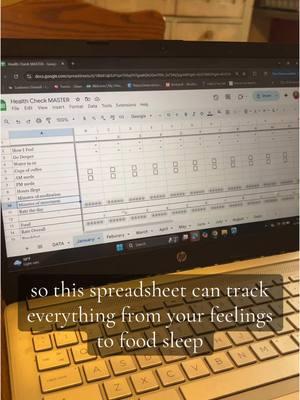 First (hopefully of many) spreadsheets good enough for the public!! Feel free to email me if you’re interested even if you can’t donate. #fyp #foryou #health #spreadsheet #backontrack #disability #chronicillness 