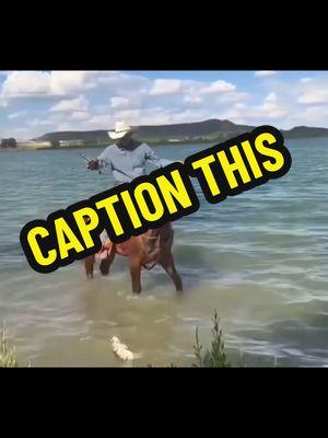 Caption this!! #dontdoit #captionthis #fishingonhorseback #cowboylady 