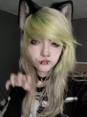 catboy activities!! #emo #kemonomimi #nekomimi #neko #emoboy #furry #furrytiktok #catboy #emotok #emoscene #scemo #emofurry #scenemo #2000s #femboy 