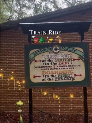 Forest Train Ride 🚂🌲🪵⁣⁣⁣⁣ ⁣⁣⁣⁣ #train #trainride #forest #tildenpark #activity #thingstodo #california #explore #twilight 