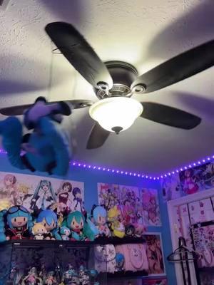 I gently open the door… 🤭🩵 #hatsunemiku #miku #mikuhatsune #vocaloid #vocaloidmiku #anime #animefigure #animeplush #plushie #mikuplush #animecollection 