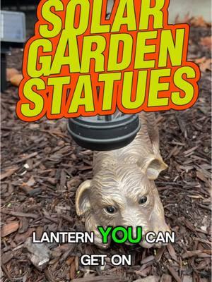 These #gardenstatues are awesome #ad. #solarlights #gardengnome #solarlight #gardenstatue #gnome #linkinbio 