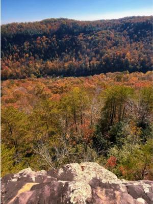 #Kentucky #autumn #fall #mountainview #mountains #scenery #landscape #nature #beautifulnature #danielboonenationalforrest #nationalforest #gorge #Hiking #hike #scenic #scenicview #mountain #fyp #photography #creatorsearchinsights 