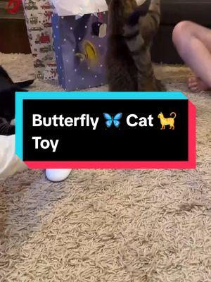 Butterfly Cat Toy #tiktokmademebuyit #TikTokShop #cattoy #pettoy #catsoftiktok #funnycatvideo 