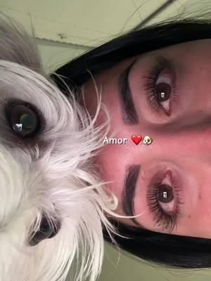 #amorperruno #reallove #perrhija #amor #dogmom #doglover #besttimes #loveyou #follow #explore 