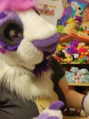 This....this is not all the Clubby 2 kits I've been gifted over the years 🤣 yes they're cool, yes I already have them and don't really want any more unless they have a gold coin. #beaniebaby #furry #fursuit #furries #tybeanies 