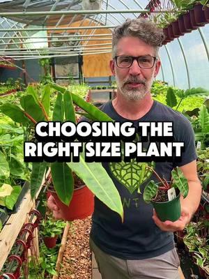 🌿 Choosing the Perfect Plant Size  Picking out new plants at the nursery can be overwhelming with so many sizes to choose from! 🪴✨  Here’s a few tips on selecting the right size plant for your space and needs. 🌱💚 🌟 What to consider: 🪴 **Space**: Make sure you have enough room for your new plant to grow. 🪴 **Growth Rate**: Know how fast your plant will grow and if you’re prepared for it. 🪴 **Maintenance**: Larger plants might require more care and attention. 🪴.**Budget**: Sometimes starting small can be more cost-effective and rewarding!  #PlantNursery #PlantShopping #PlantSizeGuide #PlantParenthood #Houseplants 