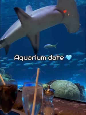 Aquarium date with @Jaden 🩵🪼 #aquarium #fish #fishtok #fishlover #aquariums #aquariumdate #aquariumlover #fishtank #fishtanks #shark #sharktok #sharktank #sharks 