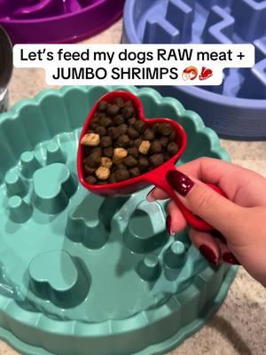 Let’s feed my dogs RAW meat + JUMBO SHRIMPS 🦐🥩 #rawfeddog #australianshepherd #dog #dogfood #dogsoftiktok #asmr 