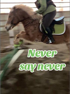 It’s not perfect but man is it worth it! These things take time #horse #horses #progress #equestrian #hunterjumper #jumping #hunter #horsesoftiktok #horsetok #equestriansoftiktok #equestrianvibes #equestrianproblems #confidence #horsegirl #eqhorse #equitation #horsetraining #horselover #lessons #ridinglessons 