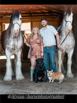 Is this cringy? I don’t care 😋 @Jake Bay  Photographer: @Alyssa // horse photographer  #clydesdale #drafthorse#clydesdales #drafthorsesofinstagram #westernengagement #westernengagementphotos 