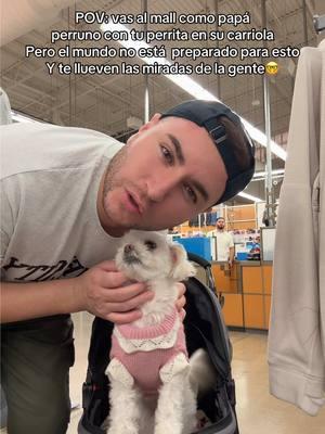 Te amo Lolita🫶🏼 Aun que la gente me vea rarito por llevarte en tu carriolita🤩 #dogs #dogdad #doggylover #lolayeddy #soyeddynieblas #eddynieblas ❤️