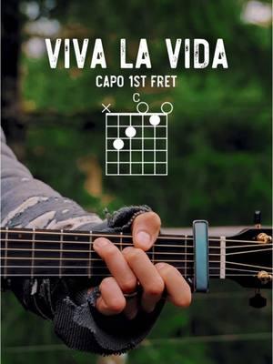 Viva La Vida - @coldplay #guitarlesson #guitartutorial using my @Breedlove Guitars Organic Performer Pro #coldplay #vivalavida #guitar #guitartok #guitarra #guitarlessons #guitarcover #guitarchords #guitarist #guitarplayer #acoustic #acousticguitar #breedloveguitars #elixirstrings 