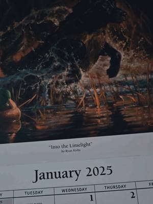 This calendar makes me so happy. Always reminded that we ARE nature...not in nature. Thank you. @Goodwill Industries Intl.  #goodwill #goodwillfinds #thriftingfinds #2025 #2025calendar #wearenature #natureathome #naturelovers #animallovers #animalloversoftiktok 