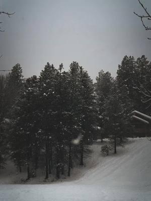 Wonderland. #leavenworth #pnwonderland #wonderful #beautifuldestinations #gateaway #roadtrip #destination #LifeIsGood #memories #vibes #peaceful 