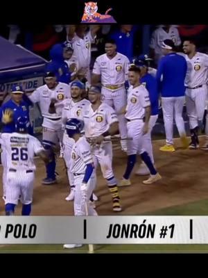 Resumen Tigres de Aragua vs Navegantes del Magallanes.  Round Robin LVBP. #navegantesdelma #magallanes #tigresdear#tigres #lvbp #roundrobin #elrincondelbeisbol @El polemico del deporte 