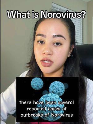 You do NOT want this virus! Protect yourself through education 🫶🏼 #fyp #education #FYI #healthcare #AsANurse #nursesoftiktok #nurse #RN #BSN #bedsidenurse #norovirus #nursetok #healthyliving #virus 