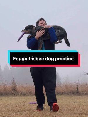 It’s been super foggy and rainy in MN the past few days. Seemed like a vibe to film some disc dog practice! Plus, it’s not snowy right now, so we can play frisbee outside! 🖤🥏🤩 #frisbeedog #discdog #lydiaband #scenic #dogsthathike #cattledog #blueheeler #rescuedog