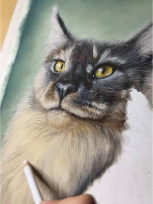 Finals are over, so here’s another custom piece I’ve started!! Enjoy :) #cat #catportrait #mainecoon #catart #realism #pastelpencils 