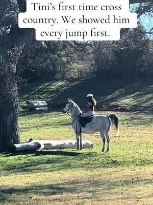 Tini’s first day at Shepherd Ranch #arabianhorses #appeltini #kidsandhorses #crosscountry #jumpforjoy #horsebackriding #santaynez #horsesoftiktok #horsecamp 