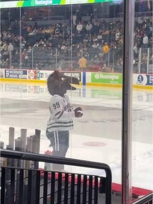 WMU’s mascot is freaky lookin’. #michigantech #michigantechnologicaluniversity #mtu #mtuhuskies #huskyhockey #blizzardthusky #blizzardthehusky #huskies #westernmichiganbroncos #westernmichiganuniversity #wmu #wastern #broncos #busterbronco #hockeytok #mascots #gli #gli2024 #greatlakesinvitational #vanandelarena #grandrapids #grandrapidsmichigan #amandavermeerart 