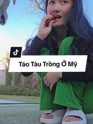 Tụi nó chỉ iu thương mỗi khi tui có đồ ăn thôi 🥲🥲🥲🥲 #cuocsongmy #cuocsongthuongngay #cuocsong #ngoinhahoahong #LearnOnTikTok #xuhuongtiktokk #fyp #foryou #vickynguyen #xuhuongtiktok #taotau #jujube #ancungtiktok 