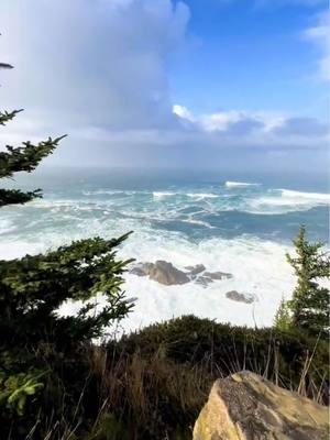 📍 Cape Arago State Park Better than Peppermint Bark! #creatorsearchinsights #capearago #oregoncoast #coosbay #coosbayoregon 