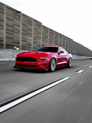 Rawr #mustanggt #fyp #carpeople #v8power #virallilll #mustang #v8 #quotes #cars #cartok #fy #10speedmustang #viral #virall #mustanggt350 #paratiiiiiiiiiiiiiiiiiiiiiiiiiiiiiii 