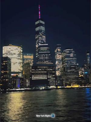 #newyorknight #nights #nightskyline #nightview #cruise #nyc #empirebuilding 