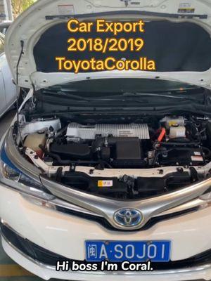 Hi I'm Coral. I am doing car business in China. My cars are cheap and with good quality. If you want 2018/2019 Toyota Corolla don’t hesitate to PM me.  #Carexport #Chinesecar #electriccar #Egypt  #Algeria  #Ghana  #Ethiopia  #DemocraticRepublicofCongo #Côted'Ivoire #Cameroon #Cambodia #Vietnam #Laos #Turkmenistan #Iran #Afghanistan #Syria #Guatemala  #Venezuela  #Columbia  #Serbia #Jamaica #Chile #Iquique #toyota #toyotacorolla 