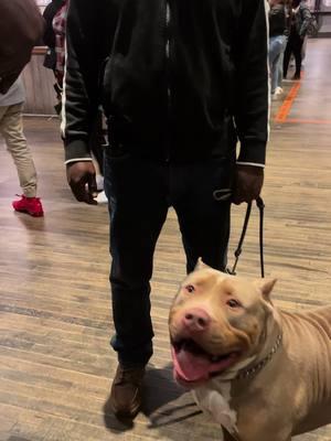 We always give respect to police officers, all police aren’t bad, and remember they are still human beings! #servicedog #servicedoglife #foryoupage #explore #xlamericanbully #police #poncecitymarket 