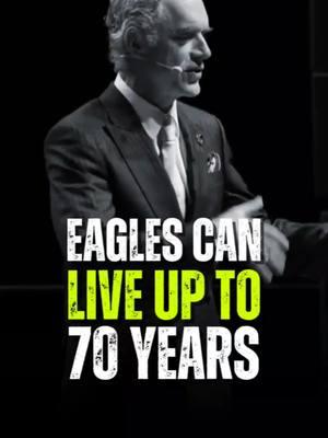 Eagle can live up to 70 years because they are mental strong 😲😵 #motivationalvideos #motivationalquote #inspirationalquotes #inspiration #fypシ゚viralシ #reels #DenzelWashington #Motivation #Quotes #Inspiration #Success #Mindset #Growth #Hustle #NeverGiveUp #BelieveInYourself #denzelwisdom #donaldtrump2020 #50 #500k #50cent #joker #joke #jokerchallenge #tik_tok #tik 