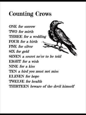 #ornithomancy #divination #countingcrowsmeaning #allofwitchtox #traditionalwitchcraft #druidtok #witchvox #pagan #wiccan #witch #practionertok 