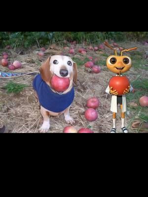 Mingo with apple dog #Mingo #appledog #ai #trending #meme #theantsmingo #fyp