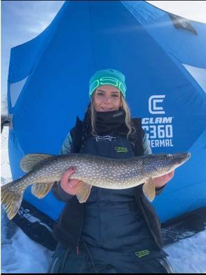 First fish over 30” so far this ice season🤘🏼 (🎥: @KP_Fish_On ) #pike #northernpike #pikefishing #catchandrelease #womenfish #fishinggirl #girlsfishtoo #icefishing 