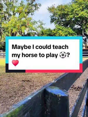 This was so fun! ⚽ I woulder if I could teach him to play soccer? #apbeauregard #Soccer #horseplaying #horsehumanconnection #mybestfriend #horsestuff #horsegirl #equestrian #horselife #geldinglife #horses #horsepeople #equestrianlife #equestrianfun #ilovehorses #horsegame #funwithhorses #myhorse #bestfriend #horsetoy 