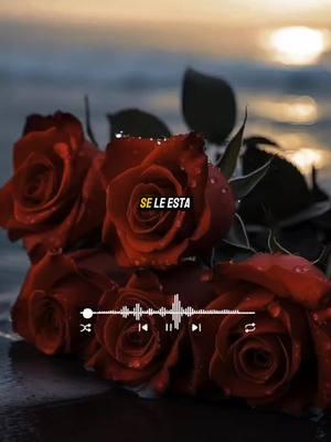 No le hago falta🎧💔🥀#Luis angel el flaco #Rolitaslyriscdesamor🥀  #Nolehajofalta  #Rolitaslyriscromantico🎧❤️  #Lamejor_Musica🎶❤️  #Rolitaslyrisc08_Viral  #Rolitaslyrisc_parati 