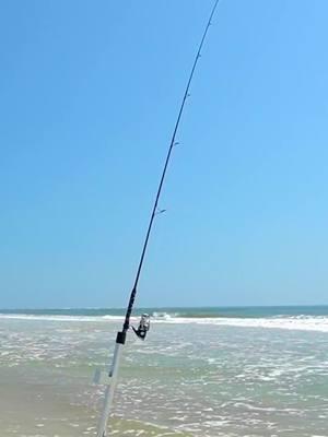 REAL FISHERMEN KNOW this sound makes us HYPE 😤 #fishing #beachfishing #explore #reelit #fyp