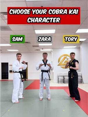 Choose Your Cobra Kai Character | Sam LaRusso #taekwondo #tkd #karate #martialarts #cobrakai #cobrakaiseries #samlarusso #360kick 