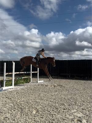 Fun afternoon this past Saturday with @Olive Acres Equestrian Center  #fyp #horsesoftiktok #ottbgeldings #USHJA #usef #hunterjumper #believeingod 