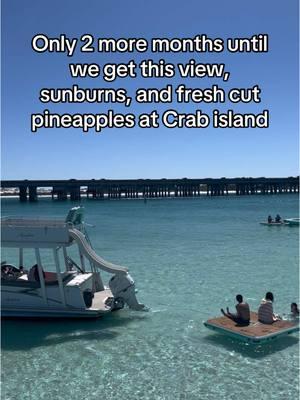 It’s already almost January? Wow the time flies! March 1st Crab Island Trips open back up! Book your spot now at destinpontooncharters.com #destin #destinflorida #travel2025 #crabisland 