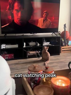 he knows what’s up #starwars #starwarstiktok #starwarsfyp #starwarfan #revengeofthesith #catsoftiktok #viral #viralvideo #foryoupage #fyp 