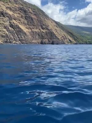 Captain Cook is a must #Hawaii#captaincook#dolphins#ocean#kayaking#adventure#sunny