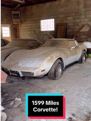 1599 Original Miles Corvette Wash! #wddetailing #detailing #carwash #carcleaning #satisfying #satisfyingvideos #barnfind #fyp #abandoned #cardetailing #corvette #pressurewashing #asmr #trend 