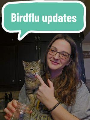 stay tuned for the indoor morning chore debriefs with the farm meownager and new farm employee of the month content from me and Soup to replace the videos of him in my hood (just for now to keep him and our indoor cats safe) #soup #soupthecat #cattok #catsoftiktok #kitten #kittentok #cats #birdflu #updates #farmupdates #farm #farmlife #coldfoam #shouldercat #morning #chores #morningchores #chickens 