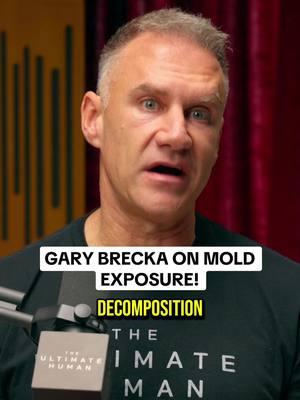 Mold isn’t just an annoyance—it’s a hidden health hazard. #mold #moldexposure #fungus #respiratoryhealth #garybrecka #fyp