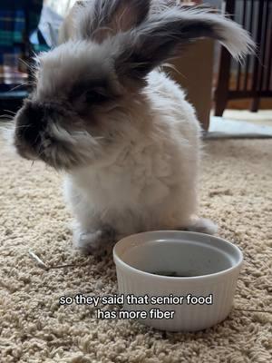 All ears this morning #seniorpet #rabbit #breakfast #cutepet 