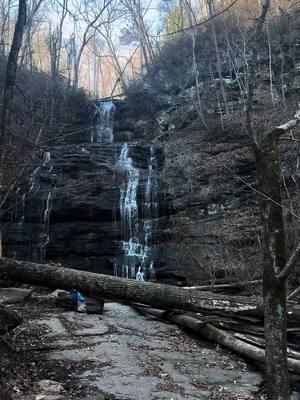 Experiences >>> outside #zymitche #waterfallsoftiktok #oconeecounty #stationcovefalls #fyp #concerts #concertcheck #picnicdate 