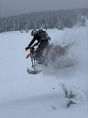 Sent it off a tree😎🏔️  #snowbike #fyp #pnw 